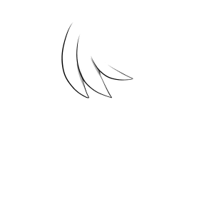 サラッ