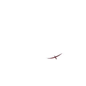 傷(小)