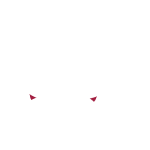 模様1