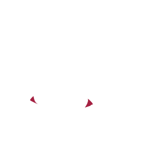 模様2